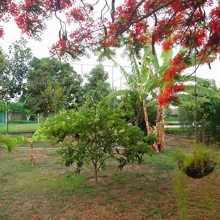 Casa Em Condominio Tranquilo De Gravata Luaran gambar